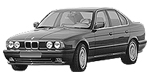 BMW E34 P100C Fault Code