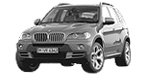 BMW E70 P100C Fault Code